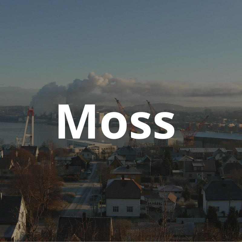 Moss